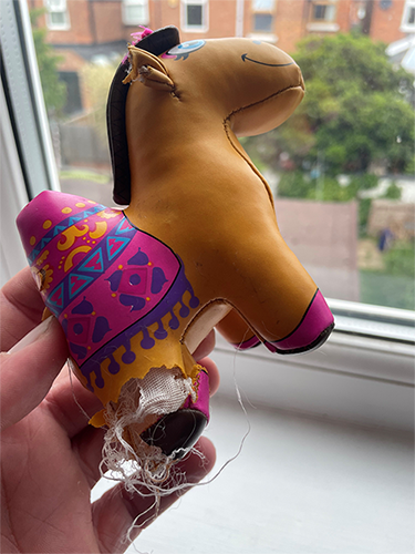 camel